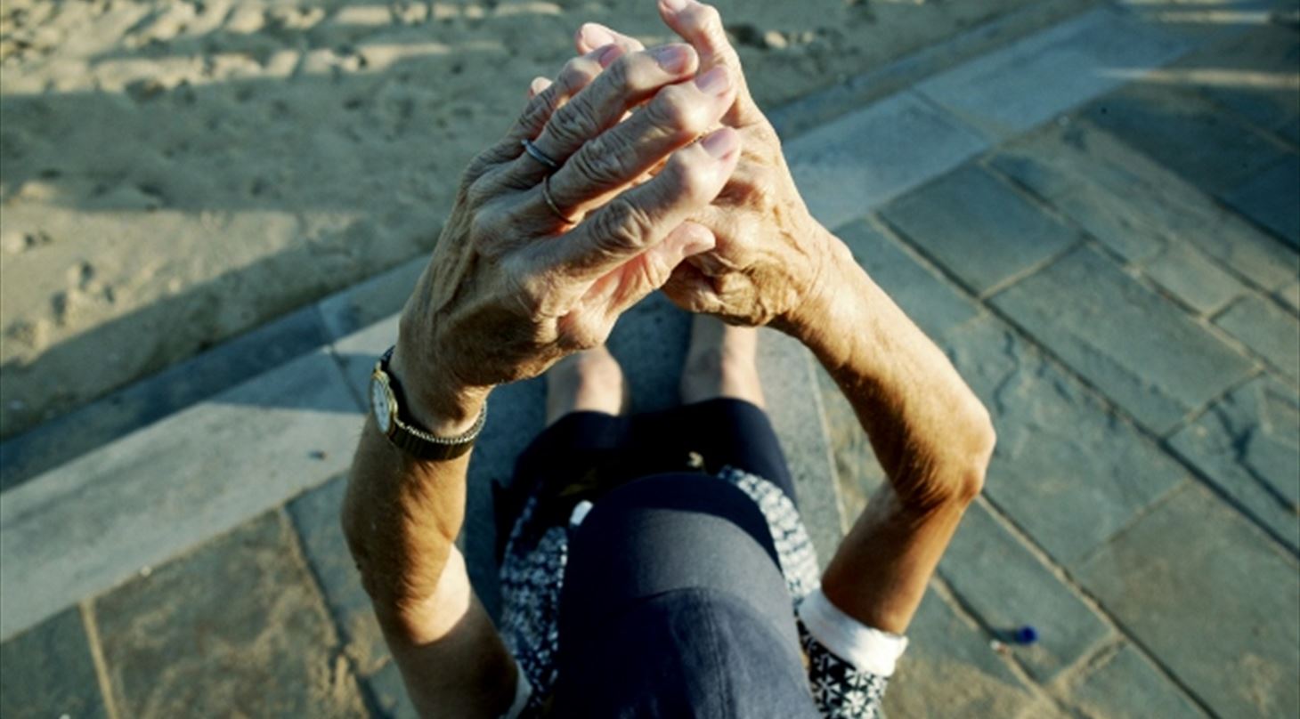The project aimed to describe the current status of the Spanish System of Elderly (and handicap) Care.